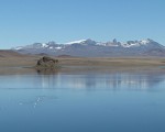 El área que abarcará el nuevo Parque Nacional es una  meseta patagónica que alberga numerosas lagunas en las que el Macá Tobiano encuentra las condiciones necesarias para su nidificación.